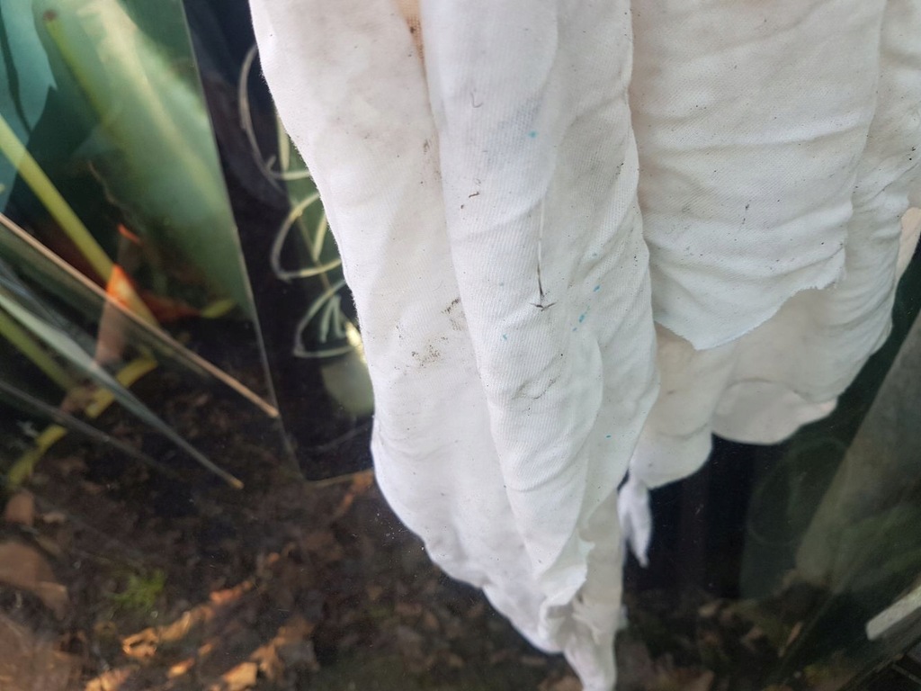 фото №6, Стекло лобовое alfa romeo giulietta 2010- демонтаж