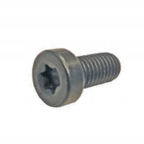 фото №1, Болт torx do głowiczek насос bosch cp1 m8x16
