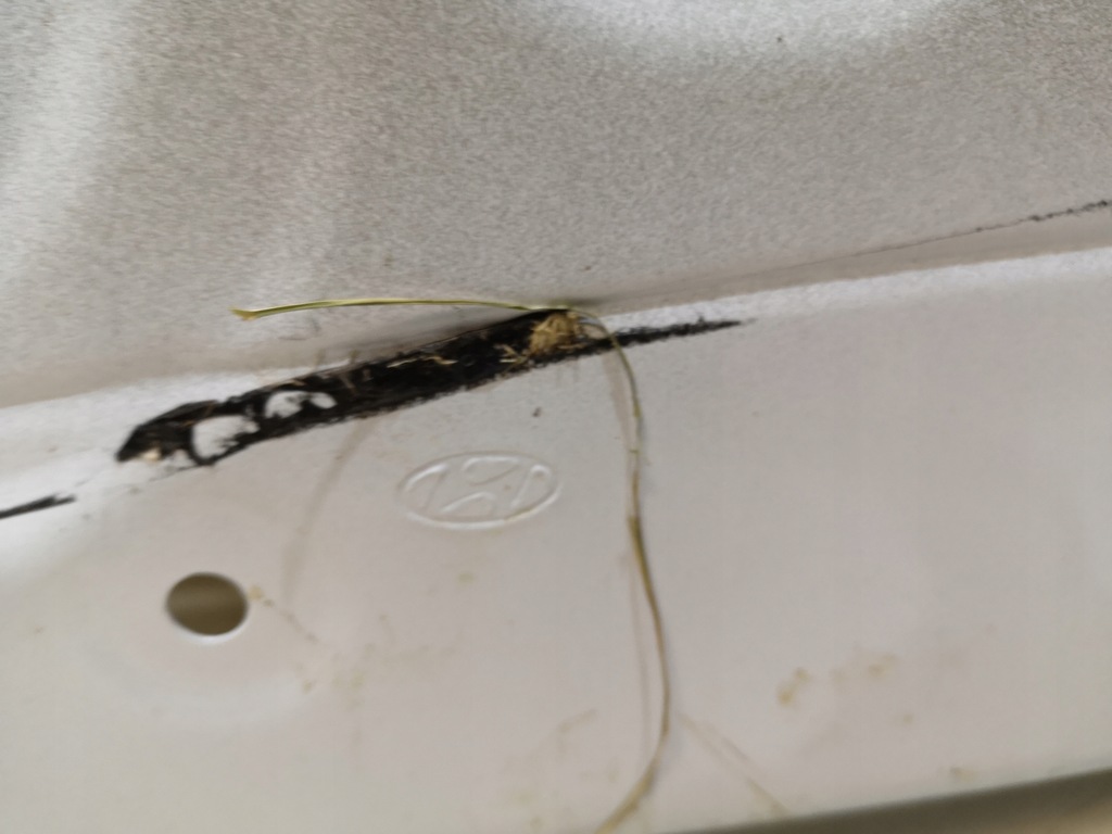 фото №7, Дверь правый перед hyundai kona