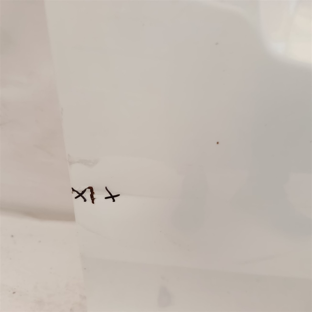 фото №3, Дверь правое перед kia niro 16-22