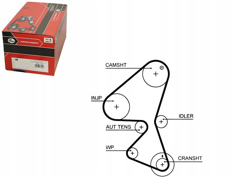 фото №1, Gates 5587xs ремінь розподільного валу