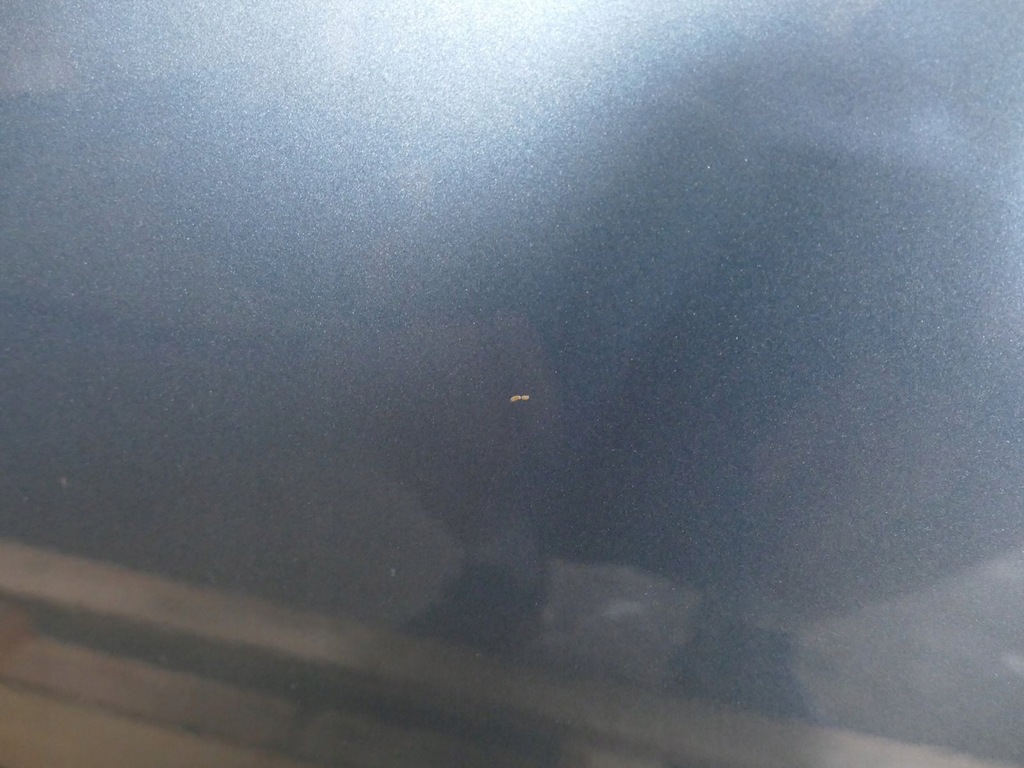 фото №12, Volvo v40 ii дверь правый перед передние 705-16