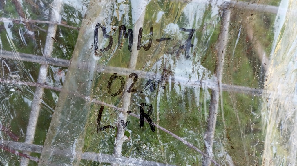 фото №11, Лампа стекло фары стекло правый левый перед лампы bmw 7 e38 lift 1999-2001