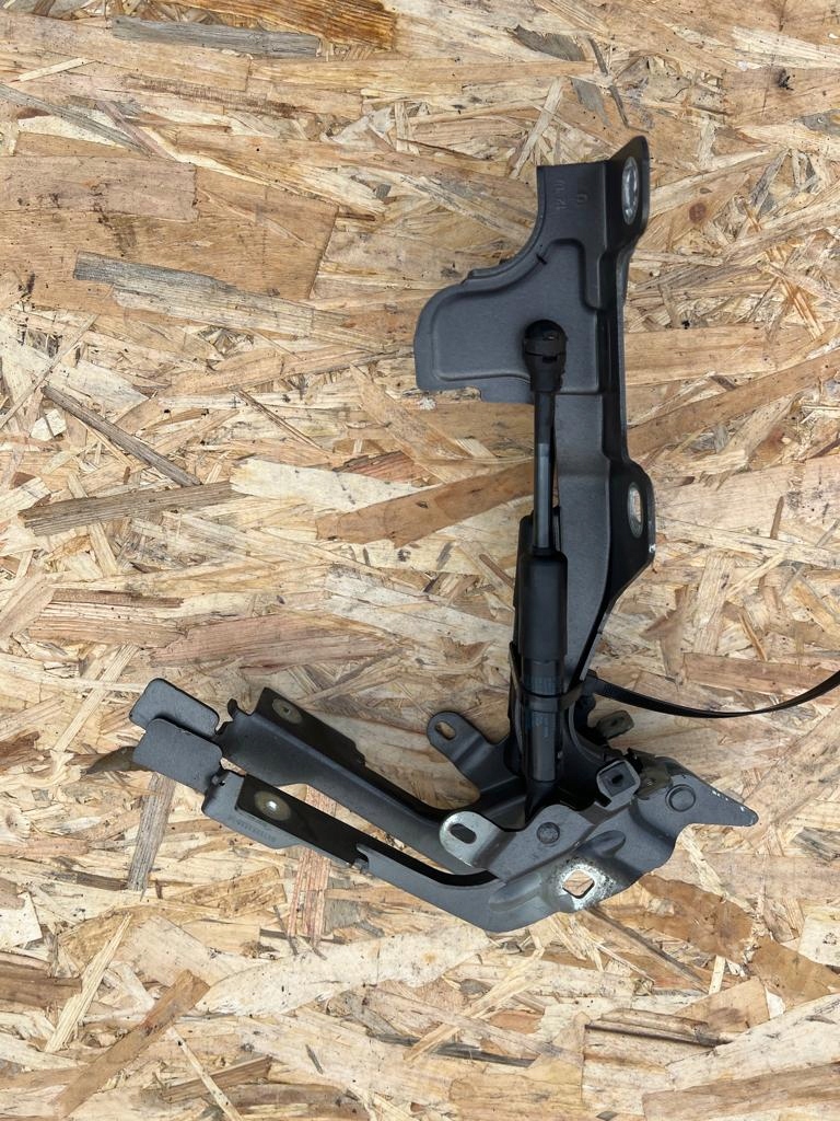 фото №1, Citroen ds7 evl петлі капот