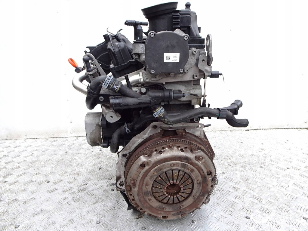 фото №12, Двигатель vw golf vi seat skoda audi 1.6 tdi cay