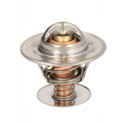 фото №1, Термостат ford maverick 93-01