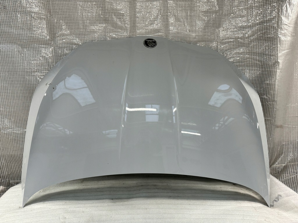 фото №1, Skoda fabia iv 4 капот