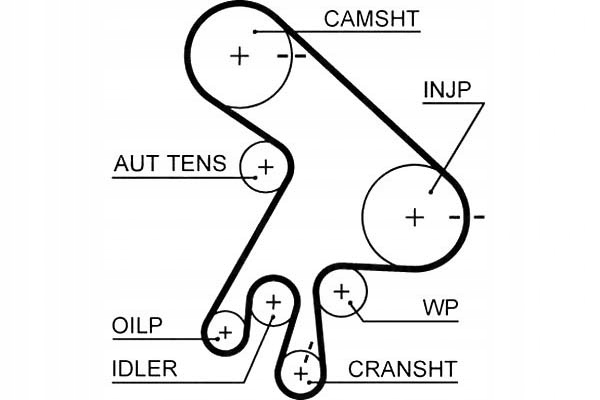 фото №2, Gates 5562xs ремень распределительного вала