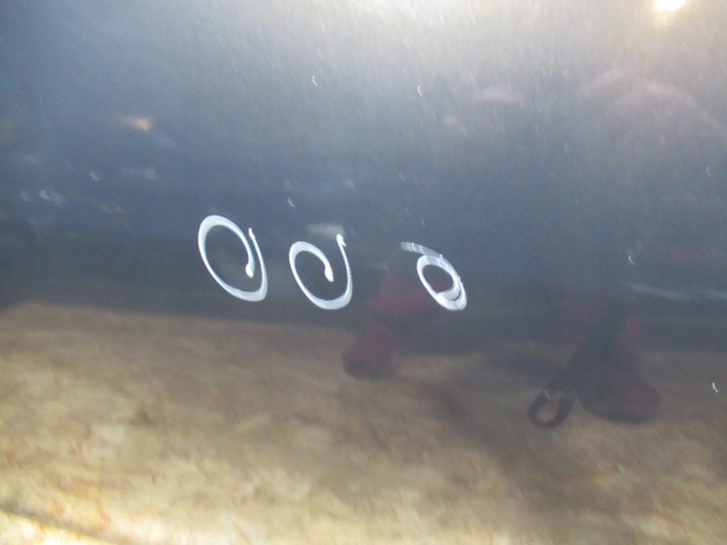 фото №6, Дверь перед правое opel insignia a