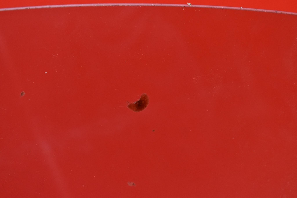 фото №9, Скло бічна ліва перед передня hyundai santa fe 2 ii 06-10