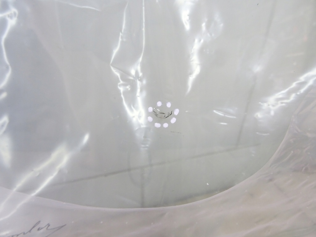 фото №7, Скло лобове mercedes glc a2536709200 камера sen