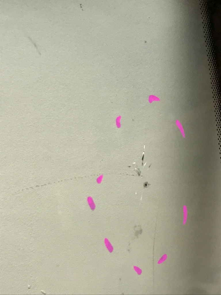 фото №8, Скло передня лобове bentley azure