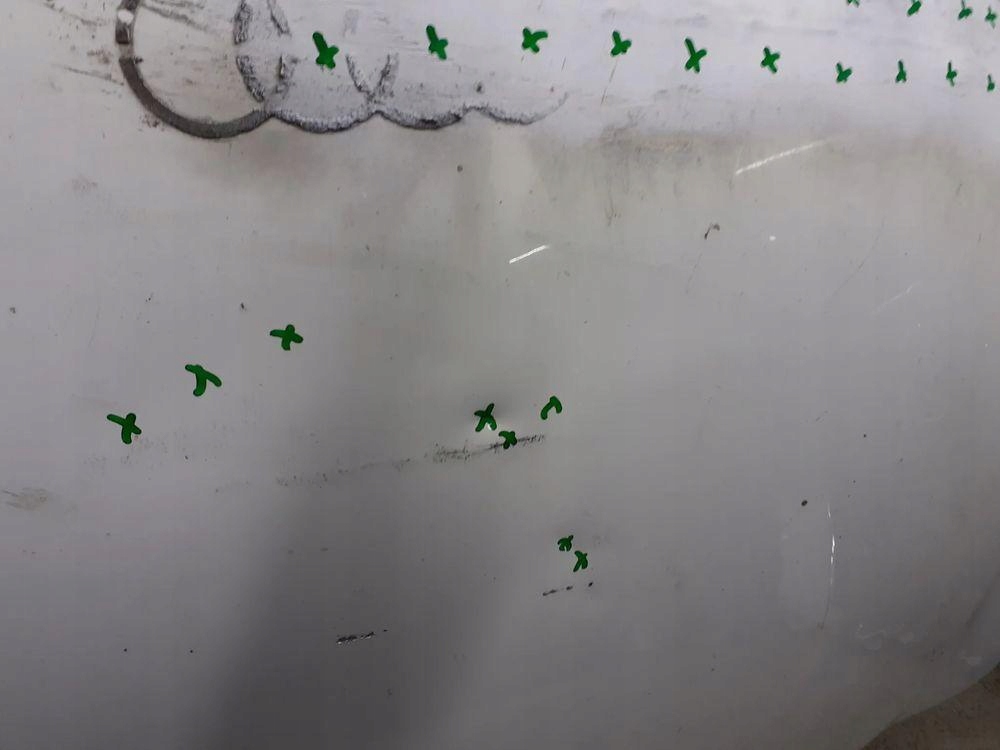 фото №6, Капот audi r8 420 2006-2016r