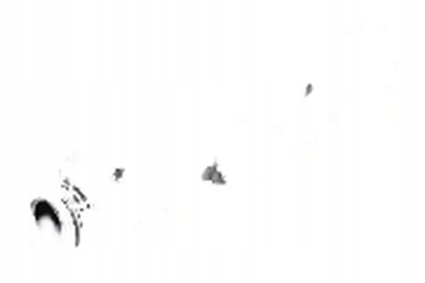 Купить Шланг труба системы охлаждение 109 625 topran seat