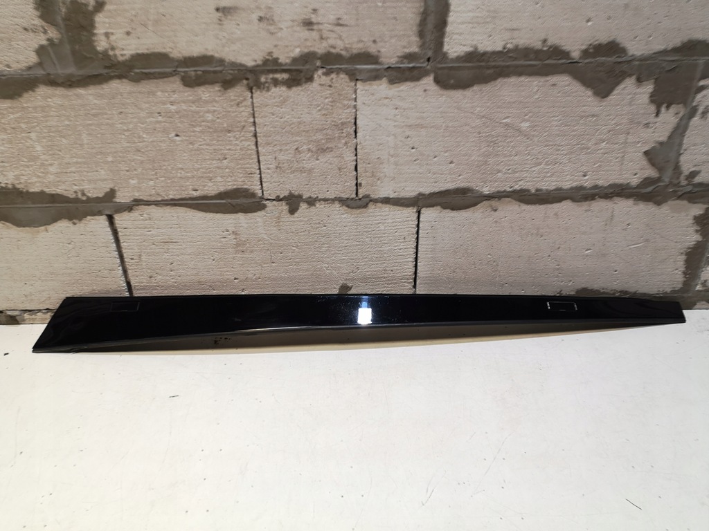 фото №8, Молдинг дахова tesla s