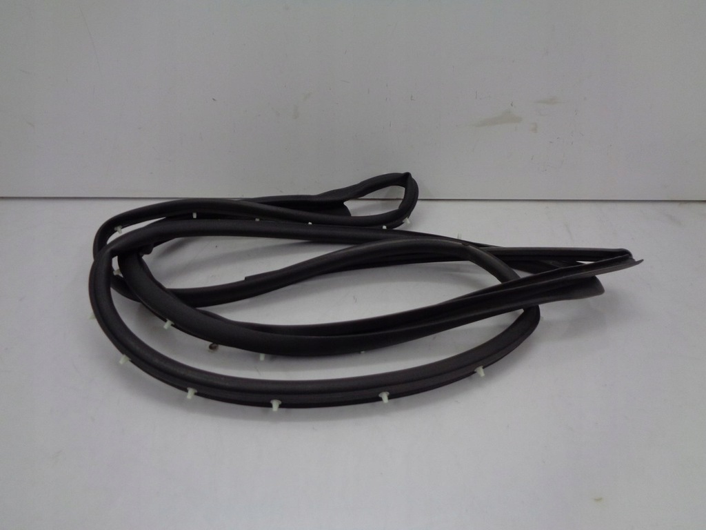 фото №1, Ford ecosport 18-22 прокладка двері лівий задня