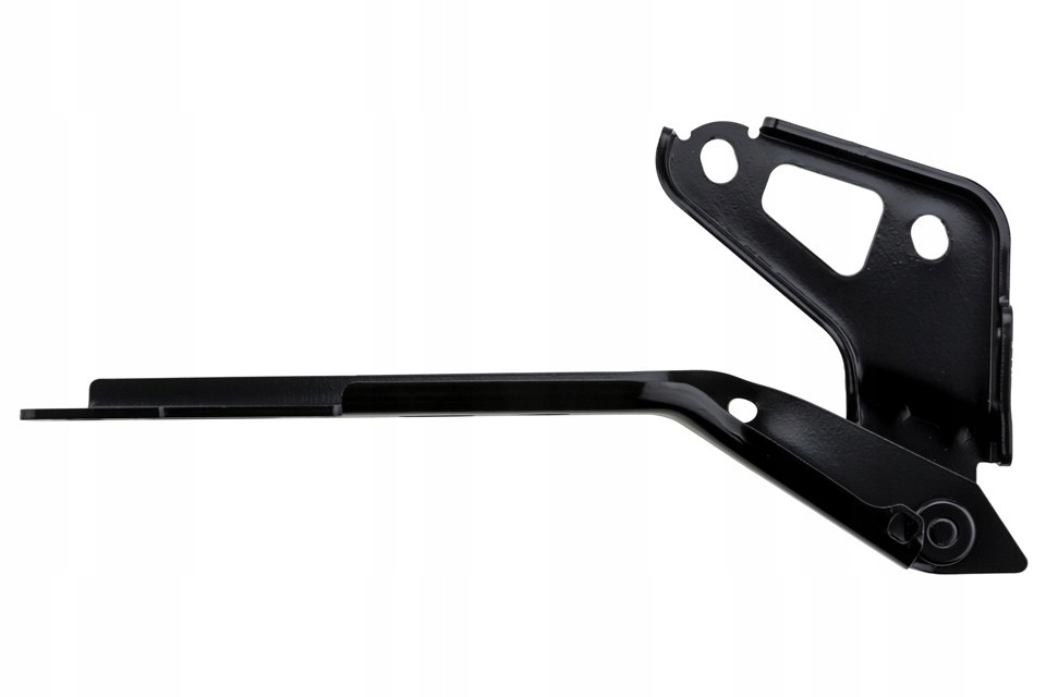 фото №4, Nty ezc-au-195 петля, кришка відсік двигуна