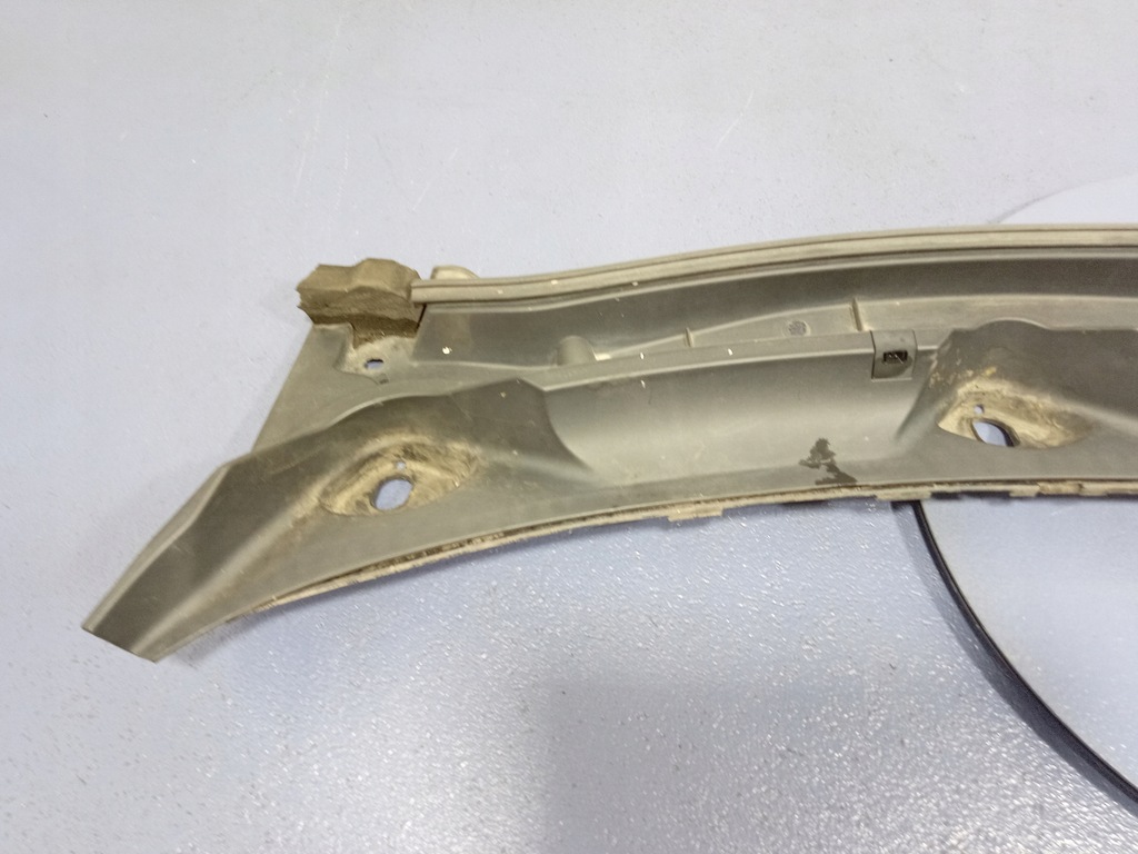 фото №5, Nissan qashqai i j10 06- жабо верхній eu 66862jd900