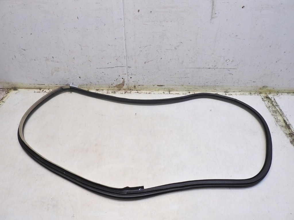 фото №7, Прокладка двері правий перед renault latitude