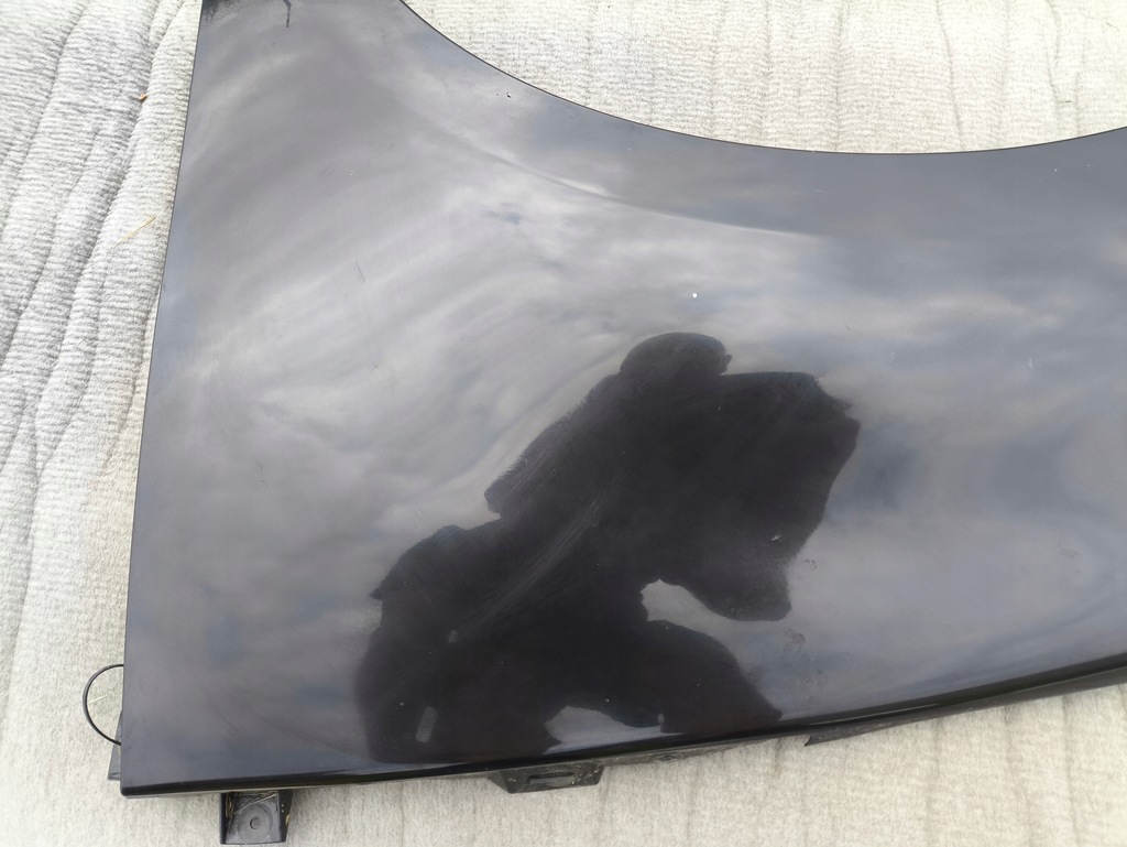 фото №11, Крила лівий перед renault scenic iii