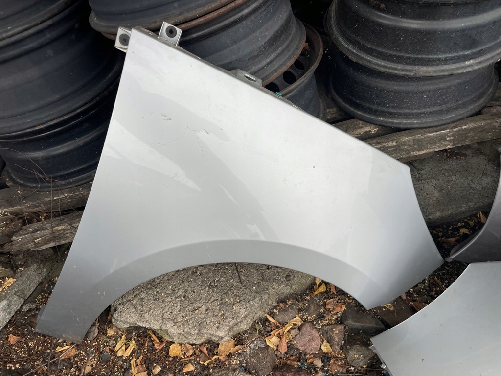 фото №1, Крыло scenic iii ted69