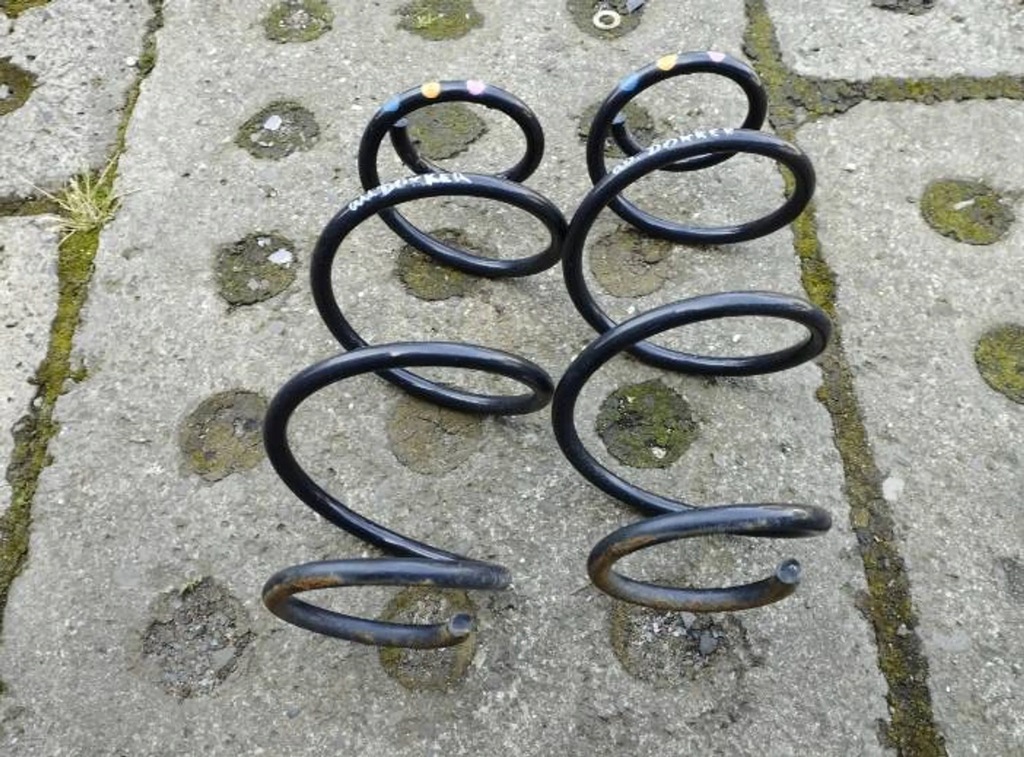 фото №1, Dacia dokker пружина задня