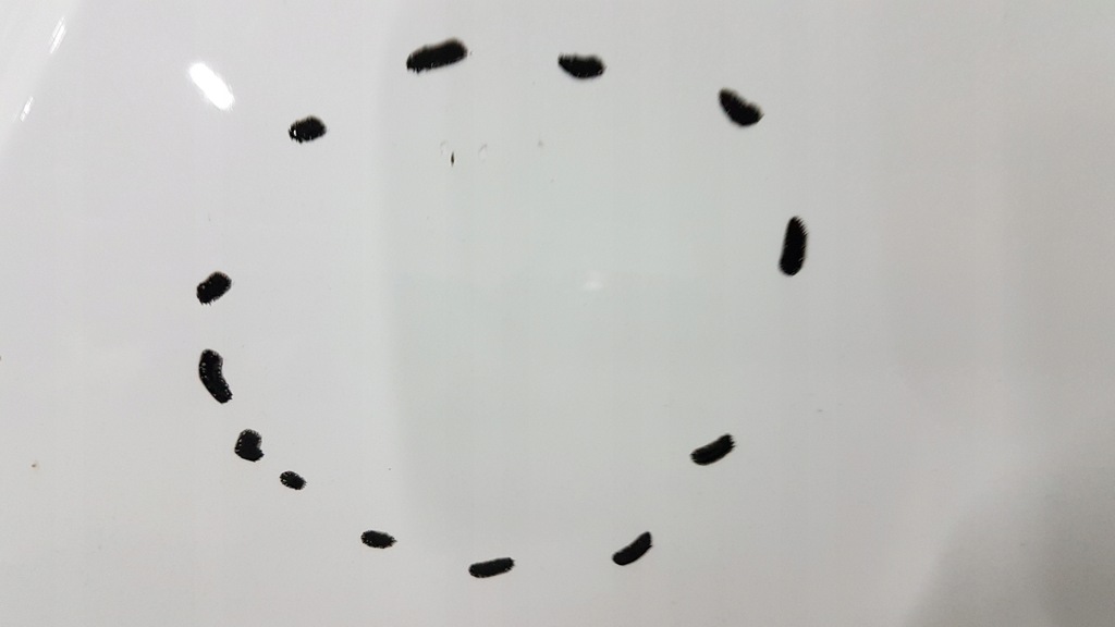 фото №4, Капот vw id4 id.4 11a оригінал