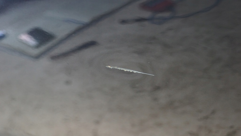 фото №9, Дверь правый задняя skoda superb ii sedan lf7y