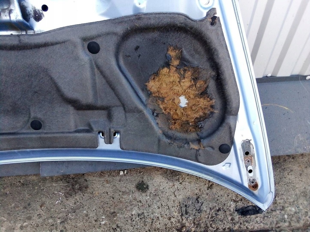 фото №16, Honda jazz 2003 опора крышки / капот двигателя перед