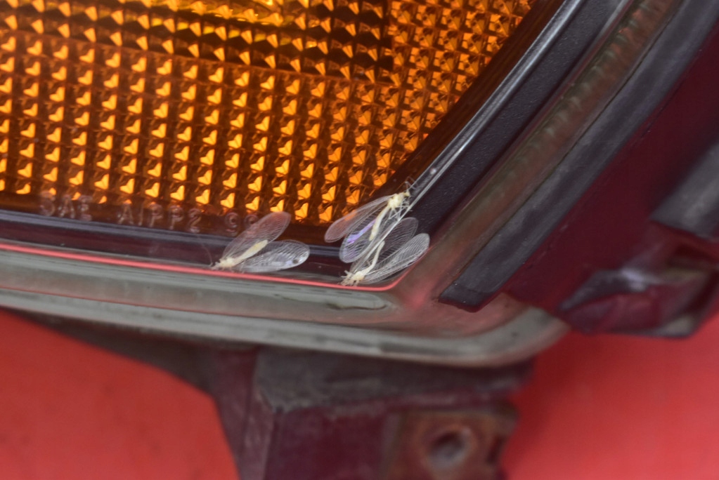 фото №15, Фара правый лампа перед eu 89007903 volvo xc70 1 i 00-05