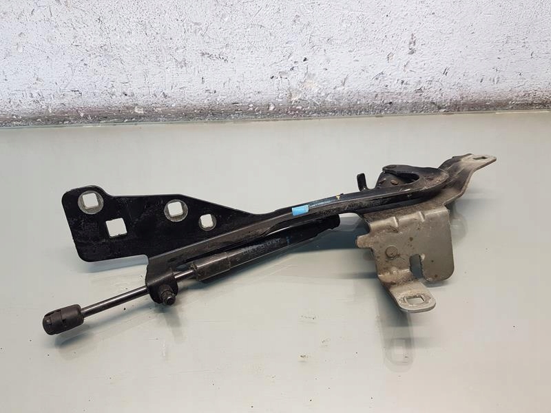 фото №3, Петля капот правий scenic iii lift 654000004r