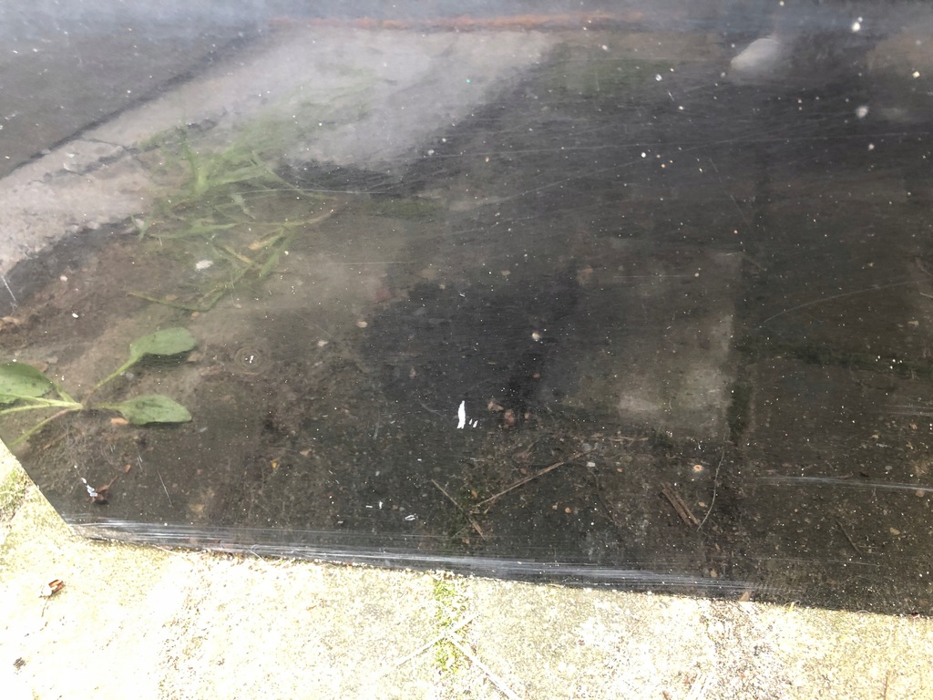 фото №2, Двері праве перед renault megane ii лак nv676