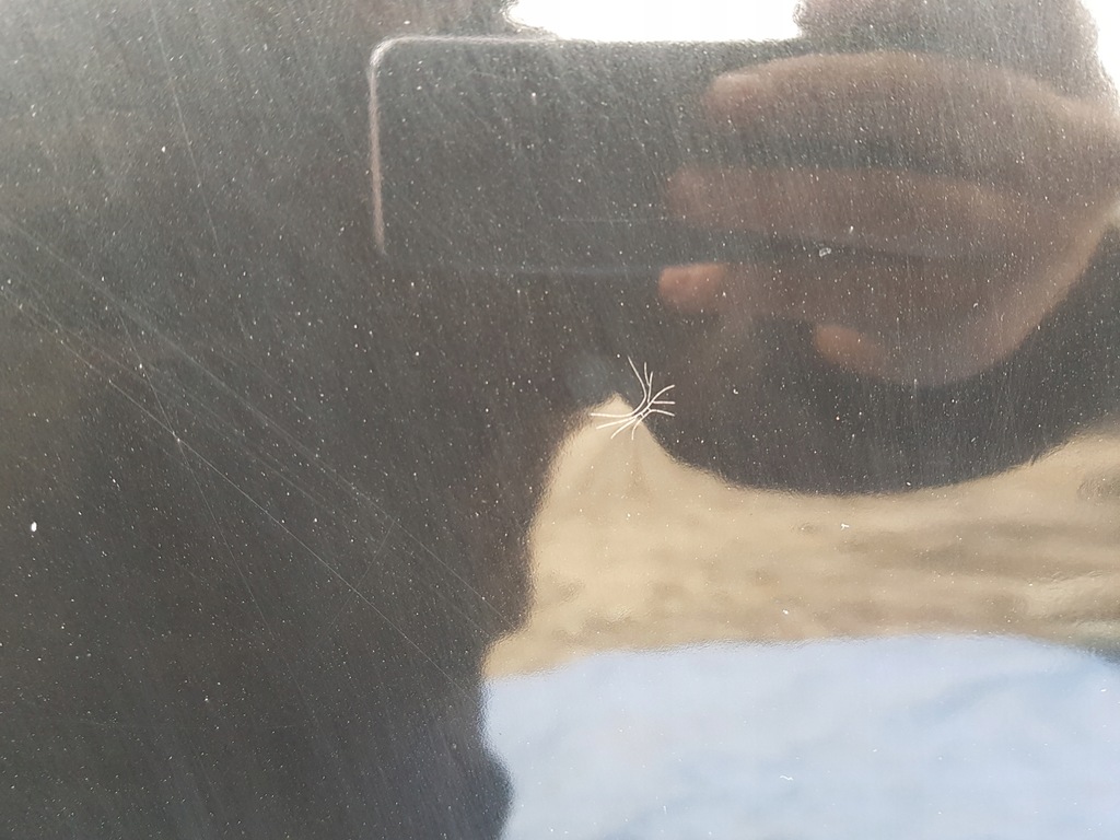 фото №14, Капот bmw 6 e63 e64 475 black sapphire