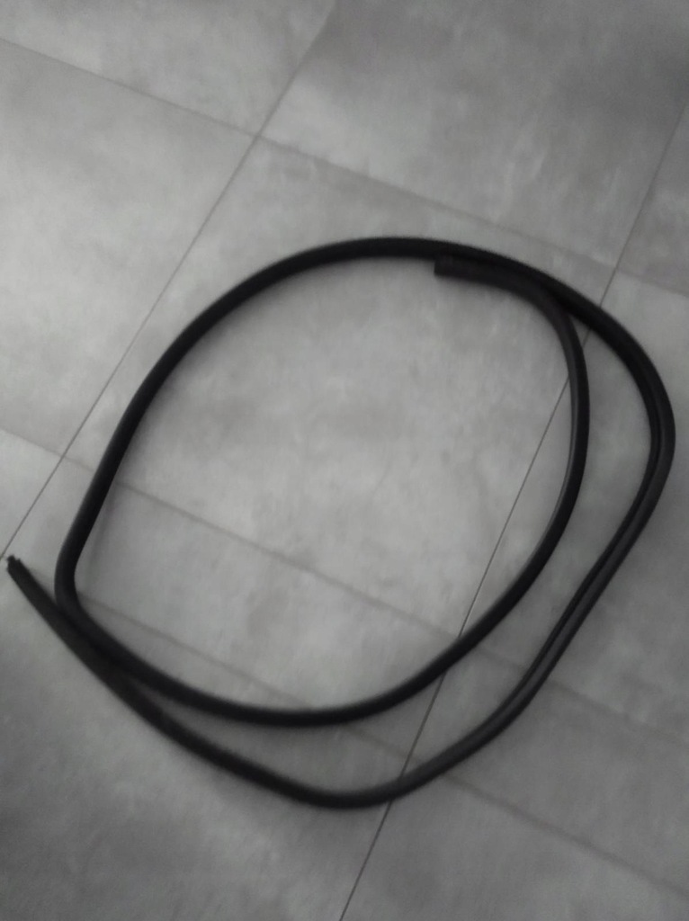 фото №1, Прокладка двері передніх права scenic 1fl