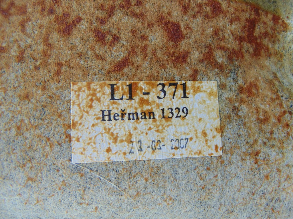 фото №13, Потолок потолок opel vectra c lift kombi europa