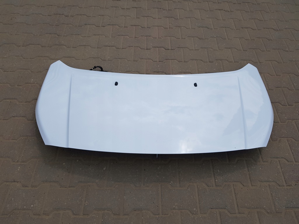 фото №4, Ford transit connect mk2 2013- капот