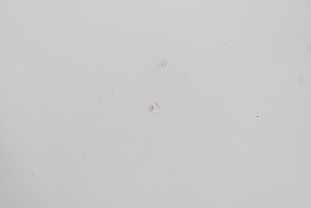 фото №11, Дверь левая перед передние белый nissan leaf 1 i za0 lift 10-17