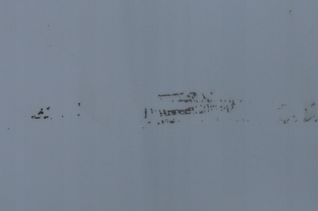 фото №10, Toyota tundra 2003 капот крышка отсек двигателя