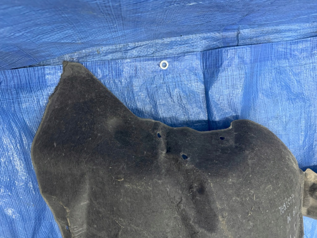 фото №10, Підкрилок передні ліва renault austral