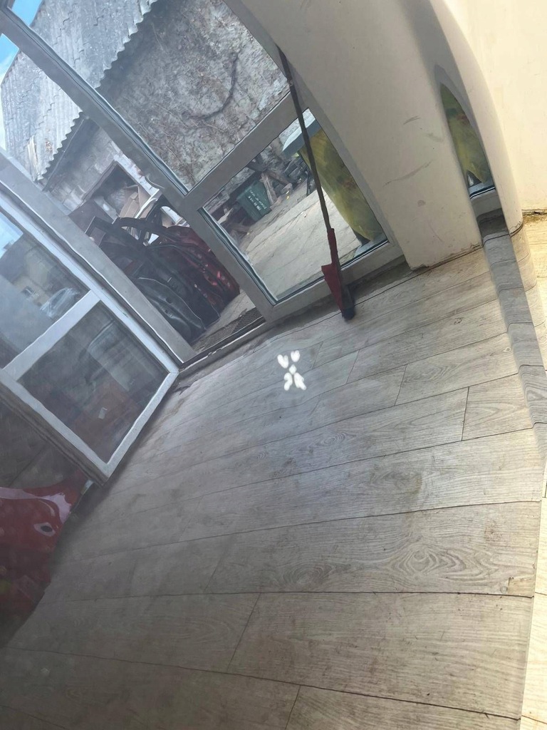 фото №6, Toyota rav4 19- капот кришка двигуна