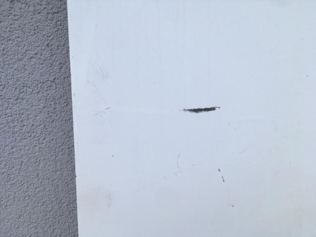 фото №9, Дверь правый задняя fiat ducato 06-12 niski