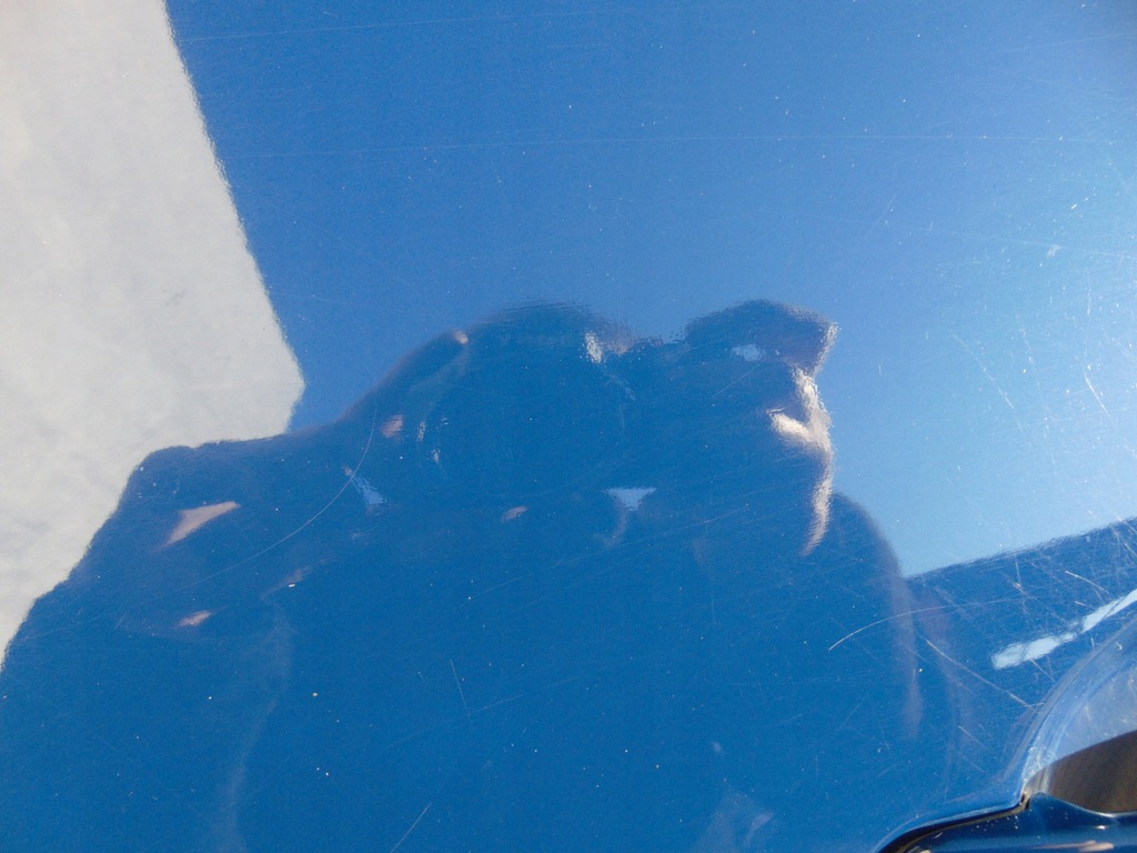 фото №11, Дверь левая перед передние skoda roomster 4711 europa