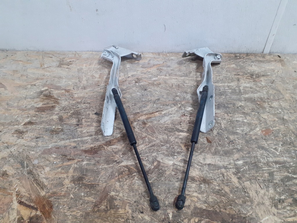 фото №1, Ford f150 09-14 петли капот левый правый