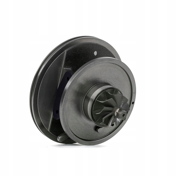 Купити Вкладиш турбіни серцевина до renault clio 2 scénic 2