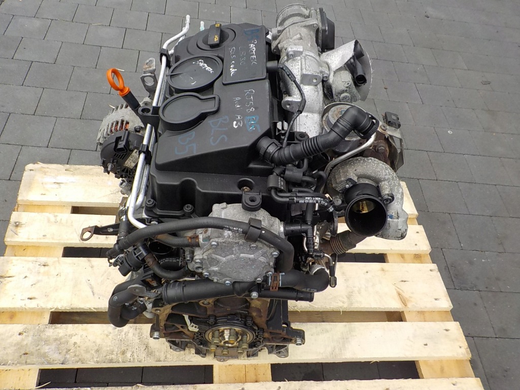 Купить Golf v caddy audi a3 8p 09r 1.9 tdi 105km двигатель bls комплектный  film