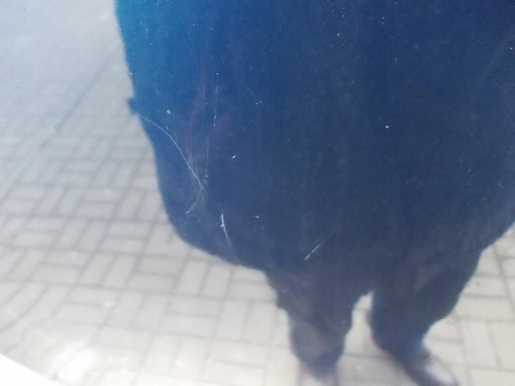 фото №14, Капот opel vectra c signum z20h