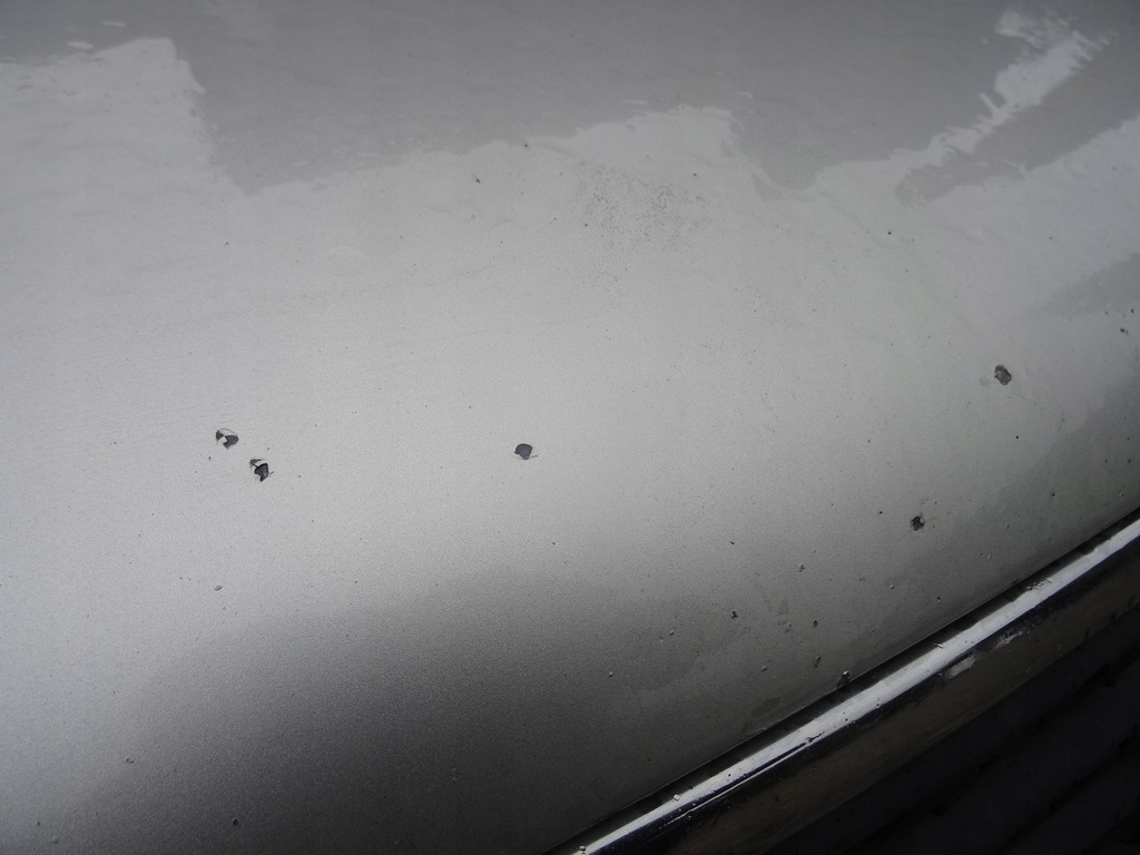 фото №7, Audi a8 d2 99-02 капот передня перед ly7w oryg