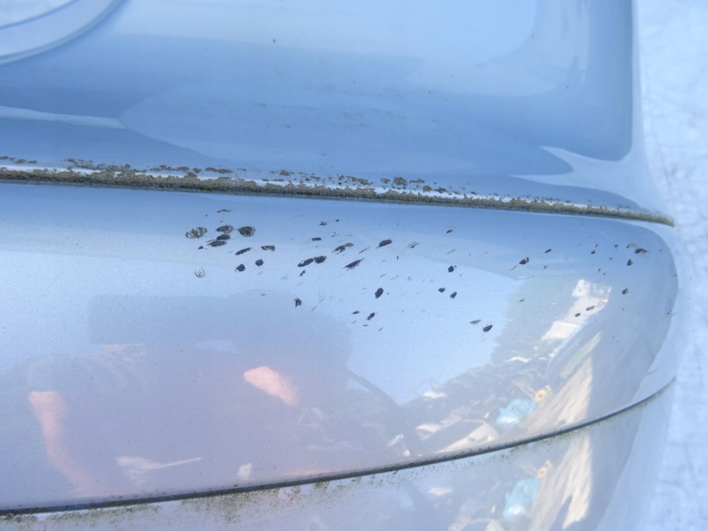 фото №11, Бампер задняя задний задний seat ibiza iii 3 6l0 02-05 ls5t