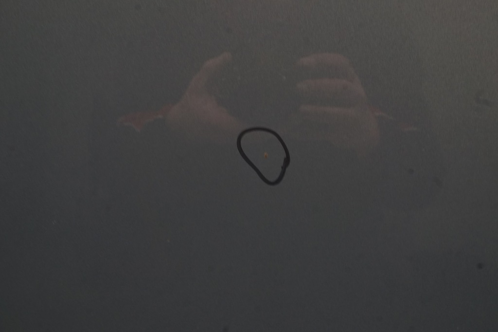 фото №10, Opel antara lift 12r капот gje