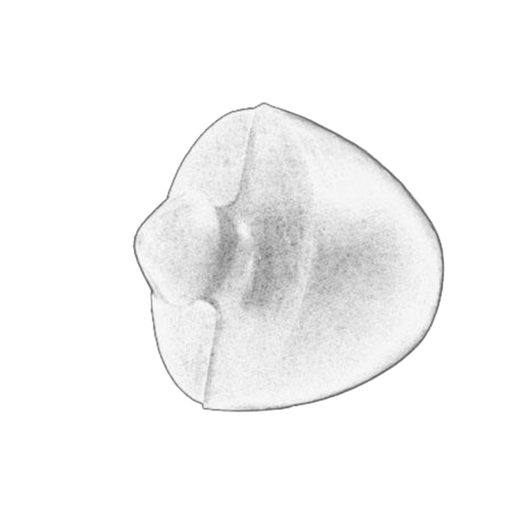 фото №2, Втулка балка перед oem 93807567z